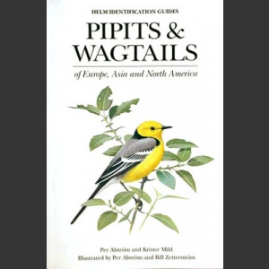 Pipits & Wagtails of Europe, Asia and North Africa (Alström, P. 2003)