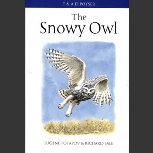 Snowy Owl (Potapov, E. & Sale, R. 2012)