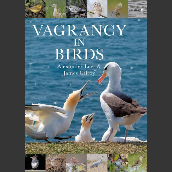 Vagrancy in Birds (Alexander Lees, James Gilroy 2022)