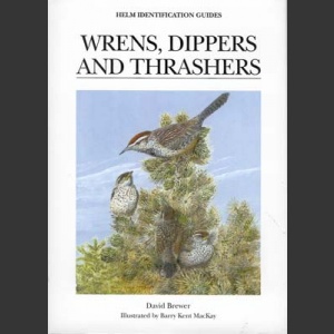 Wrens, Dippers and Thrashers (Brewer, D. ym. 2001)
