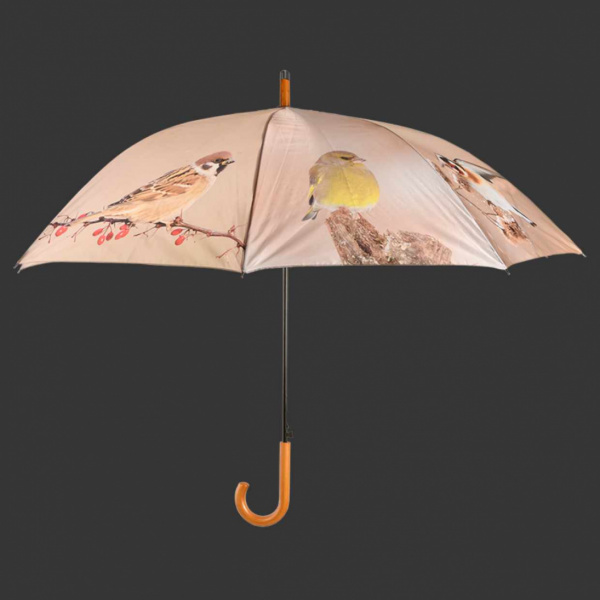 Lintuaiheinen sateenvarjo TP387