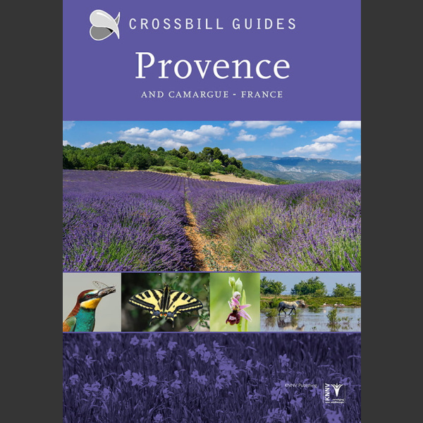 Crossbill Nature Guide Provence and Camargue – France (Dirk Hilbers ym 2020)