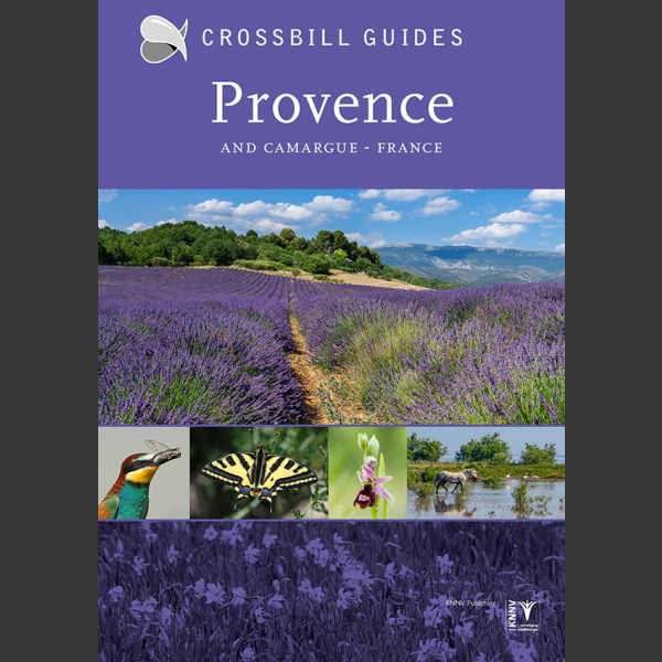 Crossbill Nature Guide Provence and Camargue – France (Dirk Hilbers ym 2020)