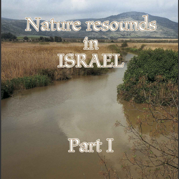 Nature resound in Israel part 1,  Hallikainen, L. 2006