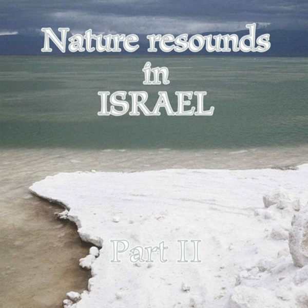 Nature resound in Israel part 2,  Hallikainen, L. 2006