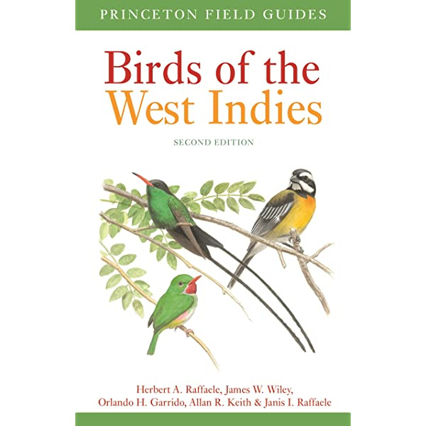 Birds of West Indies, kenttäversio (Raffaele ym. 2nd edition 2020)