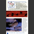 Shorebird Guide (O'Brien, M., ym. 2006)