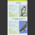 Photographic guide to Birds of Jamaica (Haynes-Sutton ym. 2009)