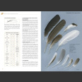 Feathers, An Identification Guide to the Feathers of Western European Birds (Cloé Fraigneau, 2022)