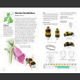 Pocket Guide to the Bumblebees of Great Britain and Ireland ( Richard Lewington 2023)