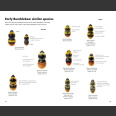 Pocket Guide to the Bumblebees of Great Britain and Ireland ( Richard Lewington 2023)