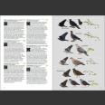 Birds of West Indies (Kirwan, G. M., ym 2019) FLEXI