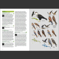 Birds of West Indies (Kirwan, G. M., ym 2019) FLEXI
