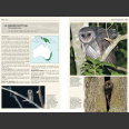 Owls of the World - A Photographic Guide: Second Edition (Mikkola, H. 2013)