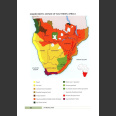 Field Guide to Mammals of Southern Africa (Stuart, C. & T. 2015)