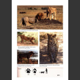 Field Guide to Mammals of Southern Africa (Stuart, C. & T. 2015)