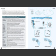 Flight Identification of European Passerines and Select Landbirds (T. Cofta. 2021)