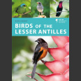 Birds of the Lesser Antilles (Ryan Chenery 2022)
