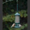 Ruokinta-automaatti Squirrel Buster standard