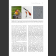 The Biology of Moult in Birds (Jenni&Winkler 2020)