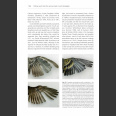 The Biology of Moult in Birds (Jenni&Winkler 2020)