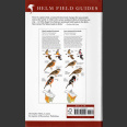 Field Guide to Birds of Eastern North America (Sibley, D. 2020)