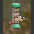 Ruokinta Bird Lovers small Suet Balls Feeder, talipalloteline