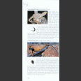 Photographic Guide to Snakes and other reptiles of Australia (Swan, G. 2003)